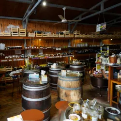 Local Olive Groves - Iskele