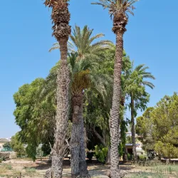 Kition Archaeological Site - Larnaca