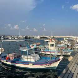 Larnaca Marina - Larnaca