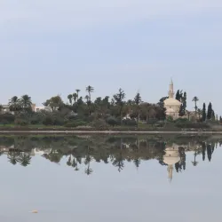 Larnaca Salt Lake - Larnaca