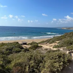 Lara Bay Turtle Conservation Station - Latchi (Latsi)