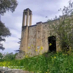 Lefka Forest - Lefka