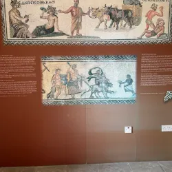 Cyprus Wine Museum - Limassol