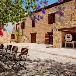 Cyprus Wine Museum - Limassol