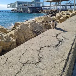 Limassol Marina - Limassol