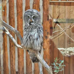 Limassol Municipal Gardens - Limassol