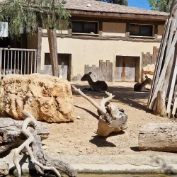 Limassol Zoo - Limassol