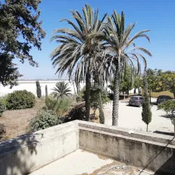 Hala Sultan Tekke - Livadia
