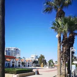 Larnaca Marina - Livadia