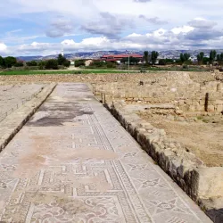 Paphos Mosaics - Paphos