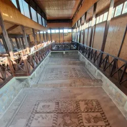 Paphos Mosaics - Paphos