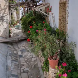 Paphos Old Town - Paphos