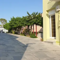 Paphos Old Town - Paphos