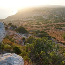 Cape Greco National Forest Park - Protaras