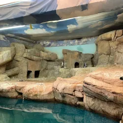 Protaras Ocean Aquarium - Protaras