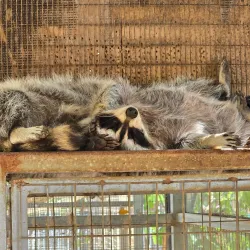 Protaras Ocean Aquarium - Protaras