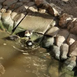 Protaras Ocean Aquarium - Protaras