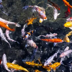 Protaras Ocean Aquarium - Protaras