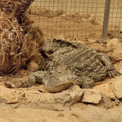 Protaras Ocean Aquarium - Protaras