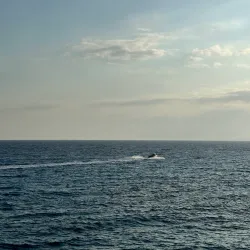 Sea Caves - Protaras