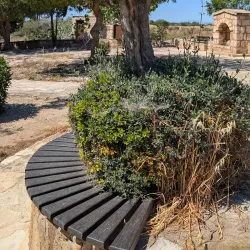 Ayia Varvara Church - Sotira