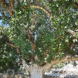Church of Panagia - Sotira