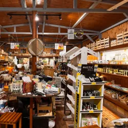 Local Olive Groves - Sotira