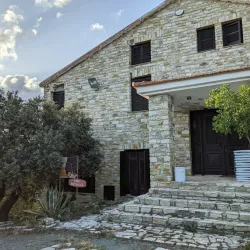 Local Olive Groves - Sotira