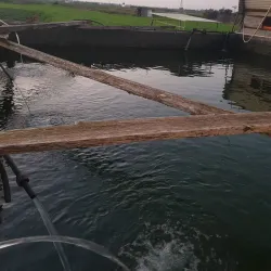 Nearby Famagusta City - Sotira