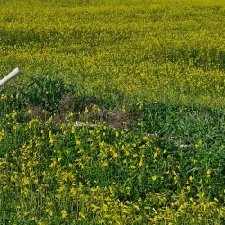 Nearby Famagusta City - Sotira