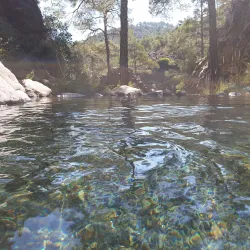 Agios Nikolaos Church - Strovolos