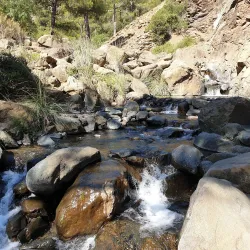 Agios Nikolaos Church - Strovolos