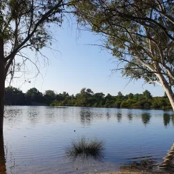 Athalassa National Forest Park - Strovolos