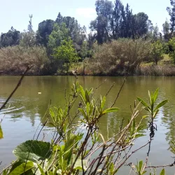 Athalassa National Forest Park - Strovolos