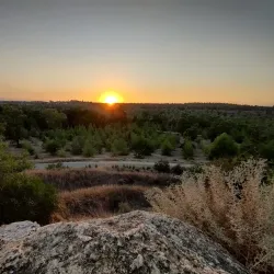 Athalassa National Forest Park - Strovolos