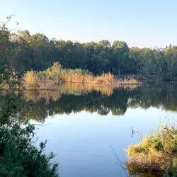 Athalassa National Forest Park - Strovolos
