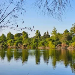 Athalassa National Forest Park - Strovolos