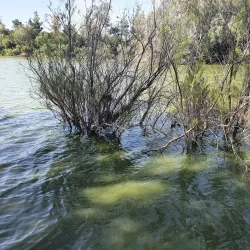 Athalassa National Forest Park - Strovolos