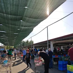 Local Strovolos Market - Strovolos