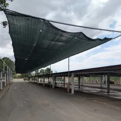 Local Strovolos Market - Strovolos