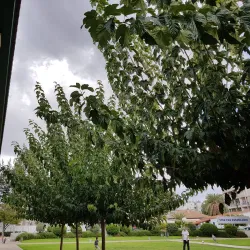 Strovolos Cultural Center - Strovolos