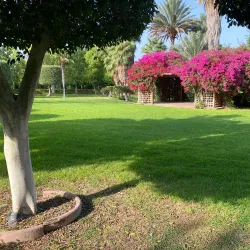 Strovolos Municipal Park - Strovolos
