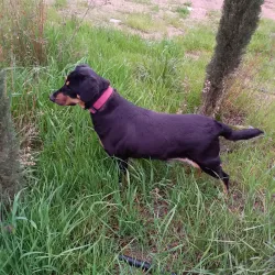 Strovolos Municipal Park - Strovolos