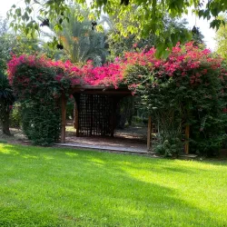 Strovolos Municipal Park - Strovolos