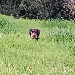 Strovolos Municipal Park - Strovolos