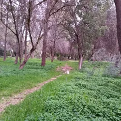 Strovolos Municipal Park - Strovolos
