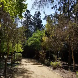 Strovolos Sports Complex - Strovolos