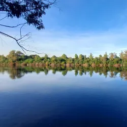 Athalassa National Forest Park - Tseri