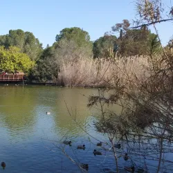 Athalassa National Forest Park - Tseri