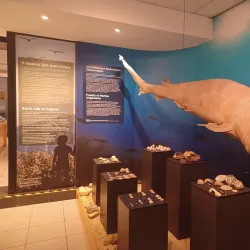 Cyprus Museum of Natural History - Tseri